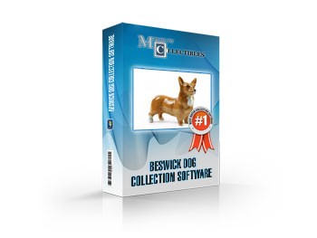 Beswick Dog Collection Software