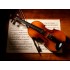 Musical Instrument Collection Software